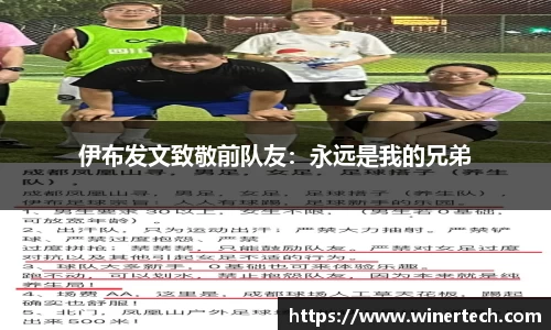 必博Bibo