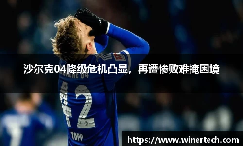 必博Bibo