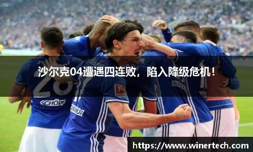 Bibo必博