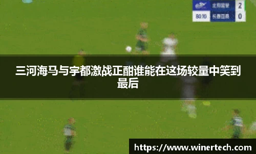 Bibo必博