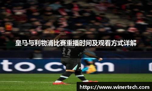 Bibo必博