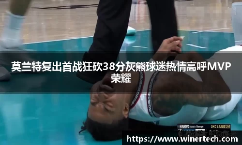 必博Bibo