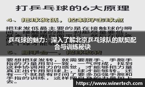 Bibo必博