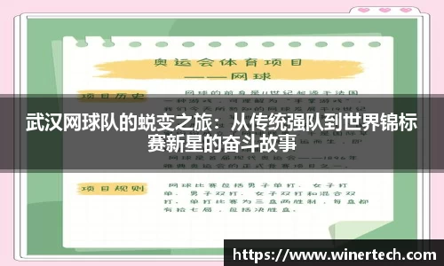 Bibo必博