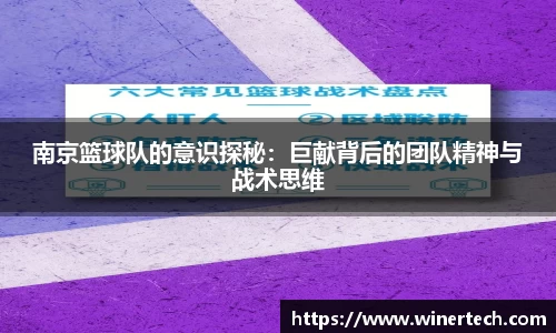 必博Bibo